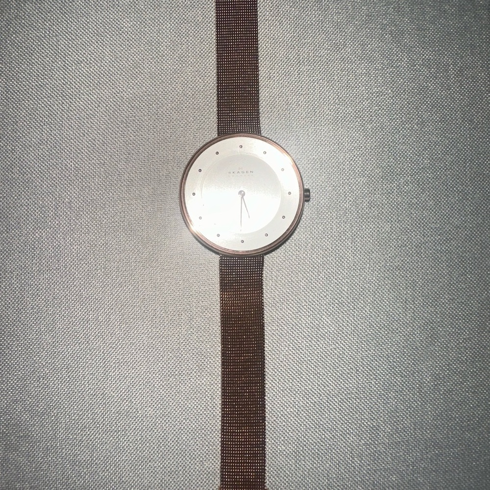Skagen Gitte Rose-Tone Steel Mesh Watch